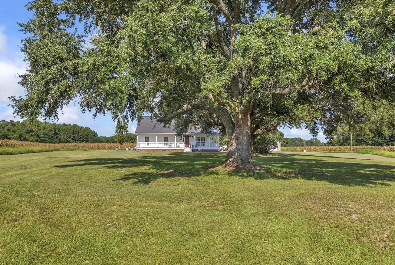 3568 Alcolu St. Photo 16