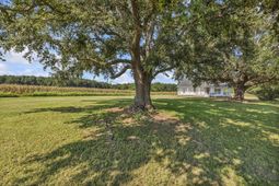 3568 Alcolu St. photo 4