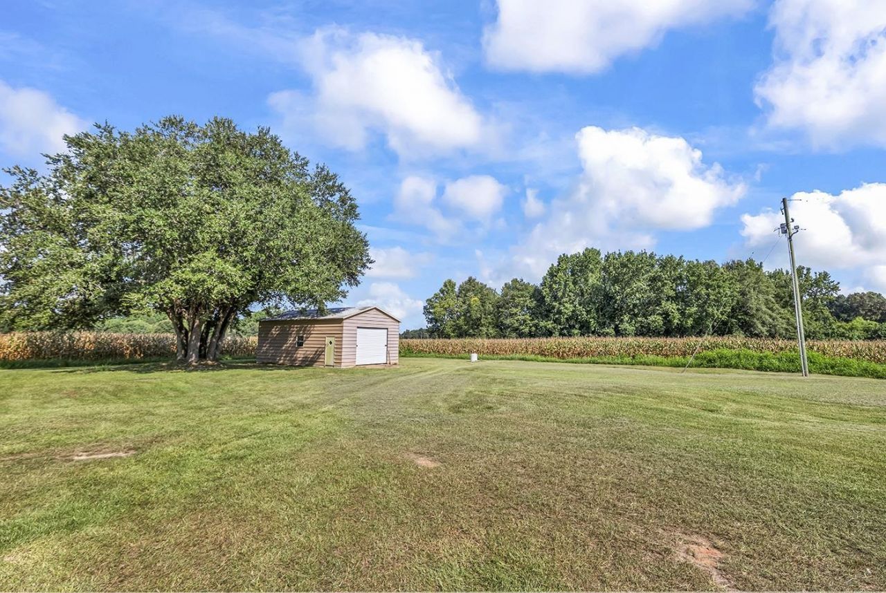 3568 Alcolu St. Photo 4