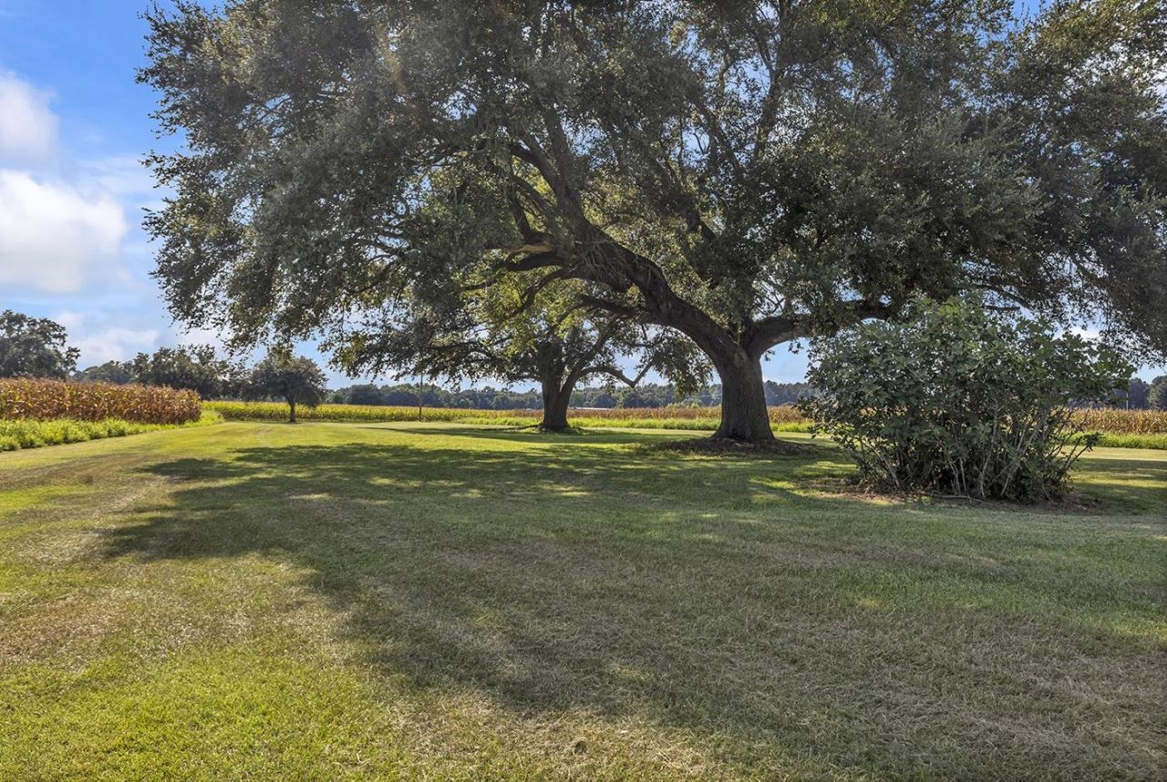 3568 Alcolu St. Photo 6