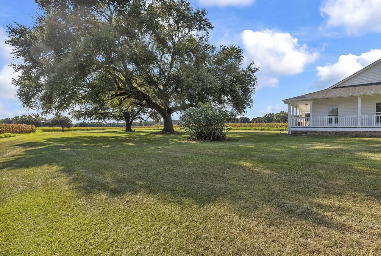 3568 Alcolu St. Photo 7