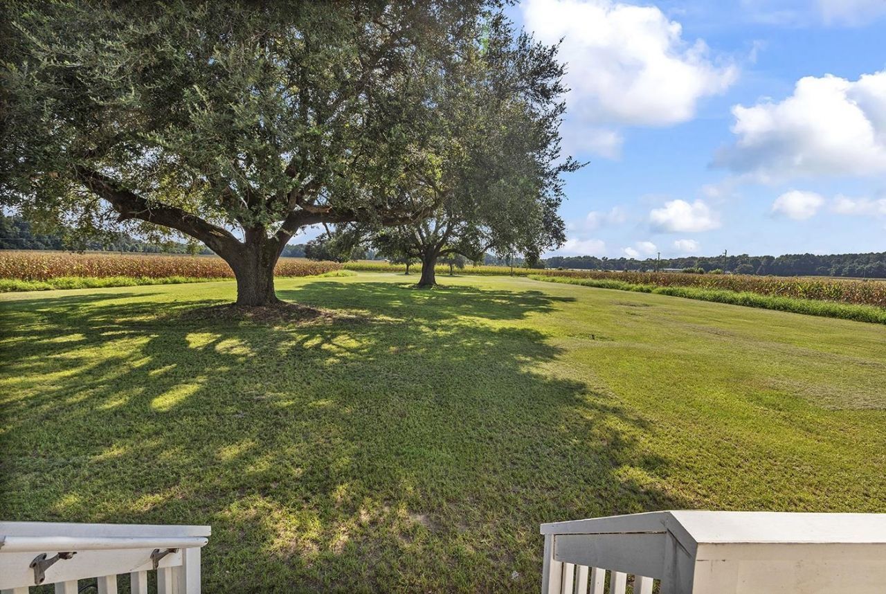 3568 Alcolu St. Photo 9