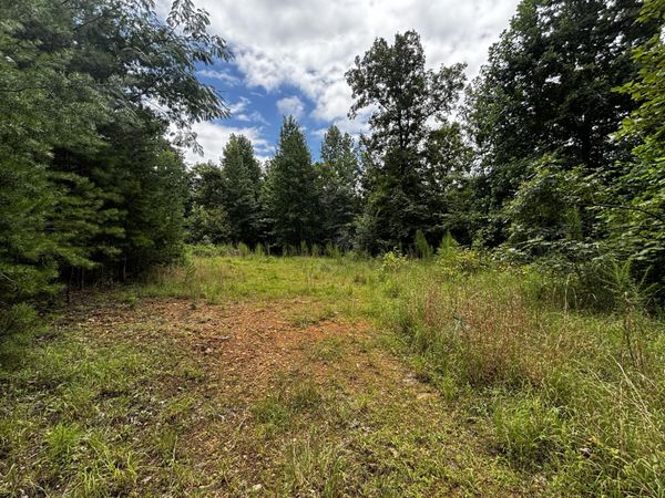 0 Orme Mountain Road, South Pittsburg, TN 37380