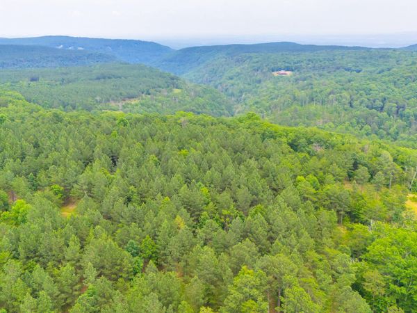 0 Worley Road, Soddy Daisy, TN 37379