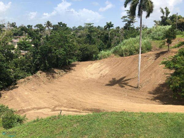 KM.HM 13.9 BO BUENA VISTA, CARR 167, Bayam?´n, PR 00956