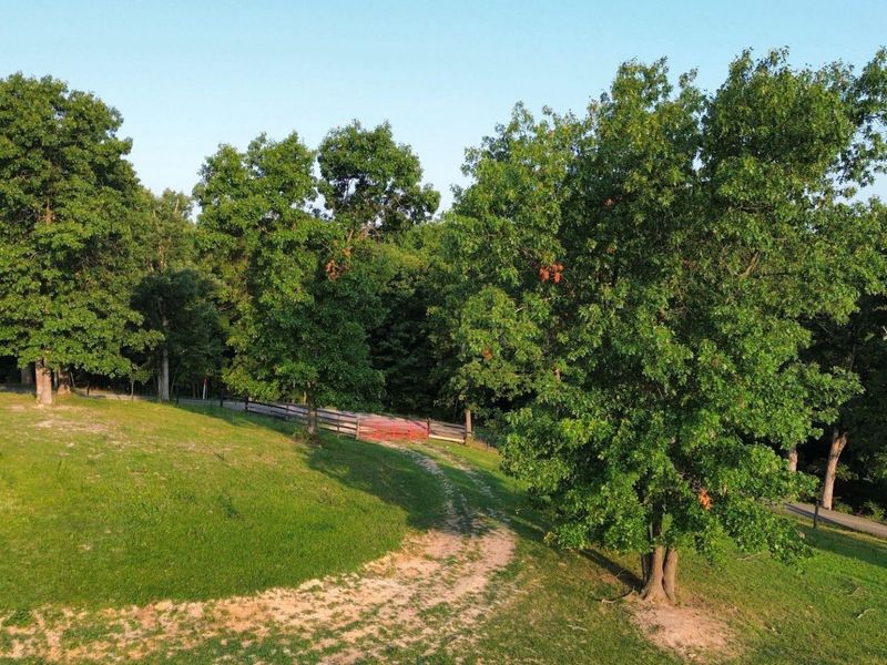 1416 Junction Pike, Berry, KY 41003 Photo 36