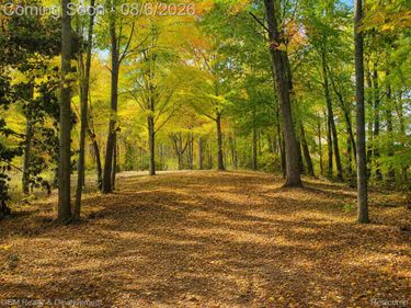 6004 Seven Mile Road, Salem Township, Mi 48167