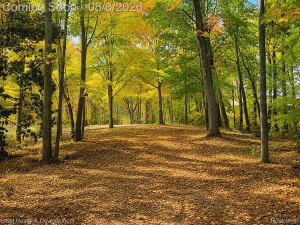6004 Seven Mile Road, Salem Township, Mi 48167