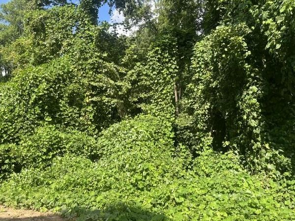 8819 Gann Road, Soddy Daisy, TN 37379