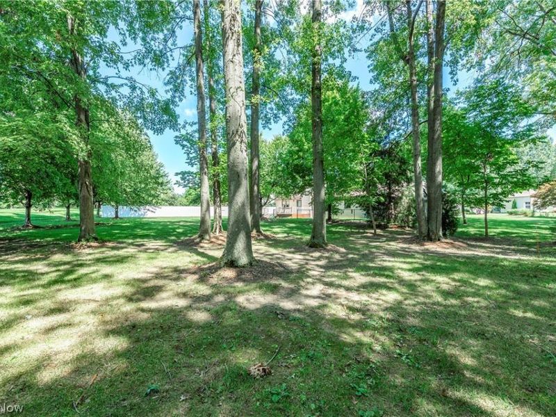 1016 Woodland Chase, Grafton, OH 44044 Photo 45