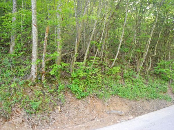 1132 Cole Lane, Gatlinburg, TN 37738