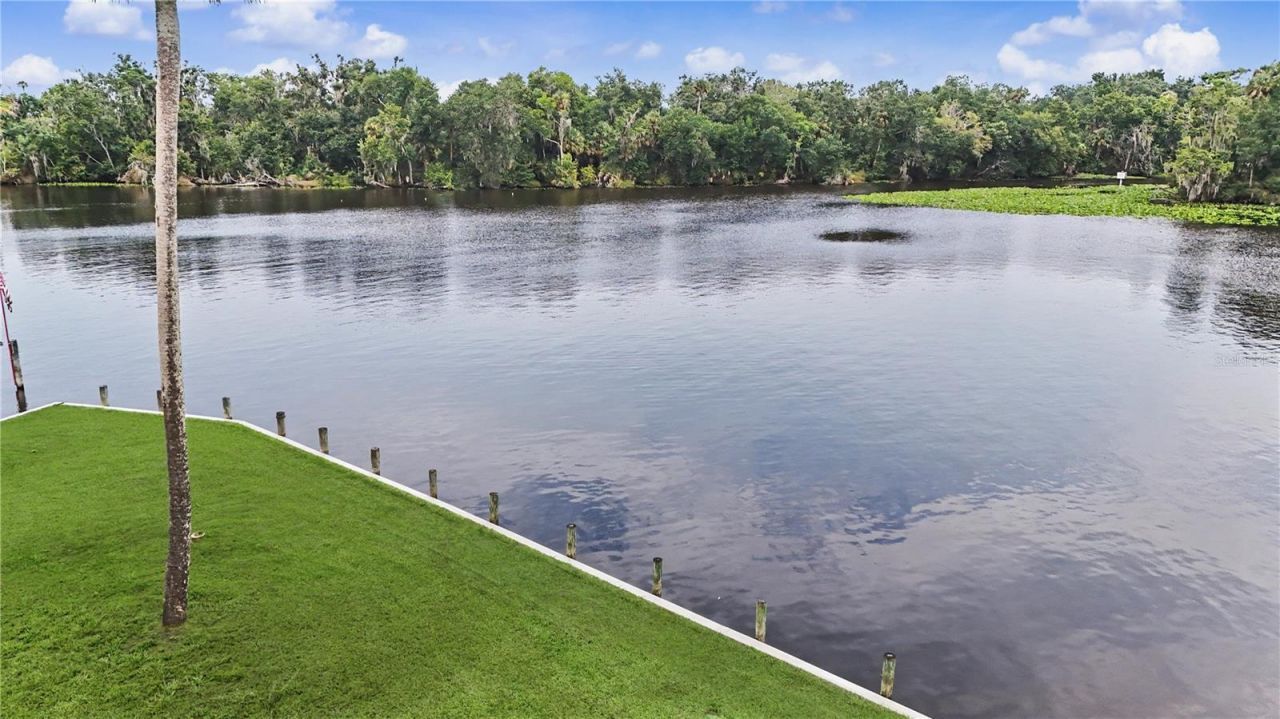 56440 Water Oak Road, Astor, FL 32102 Photo