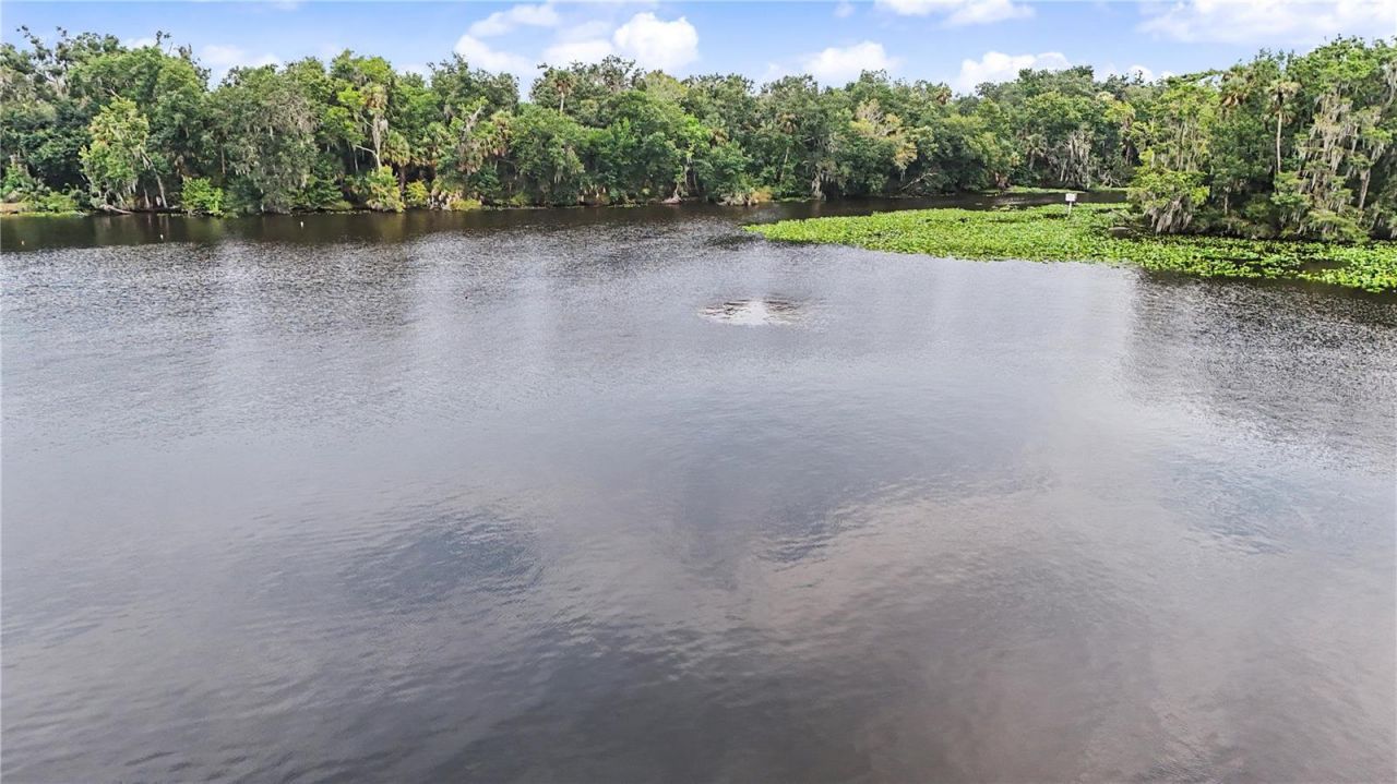 56440 Water Oak Road, Astor, FL 32102 Photo