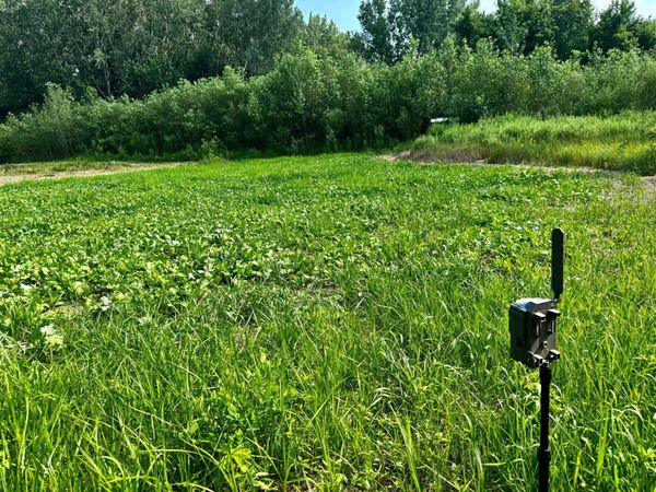 TBD Grove Street , Le Sueur, MN 56058