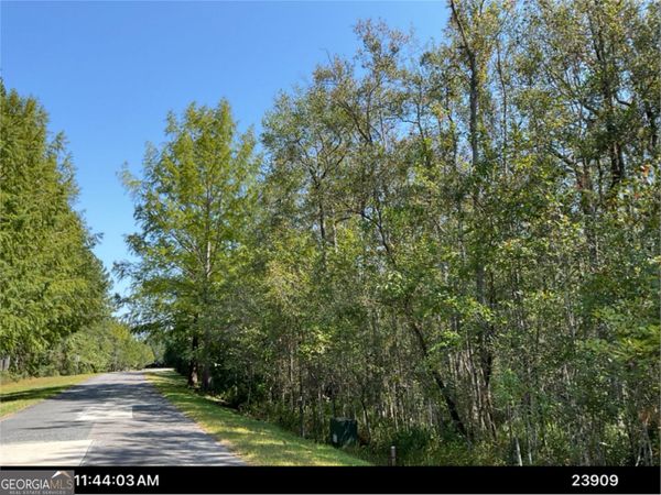 LOT 163 La Terra Lane, Waverly, GA 31565