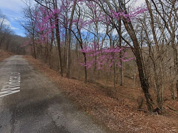 Lot 5 Wildcat Lane , Holiday Island, AR 72631