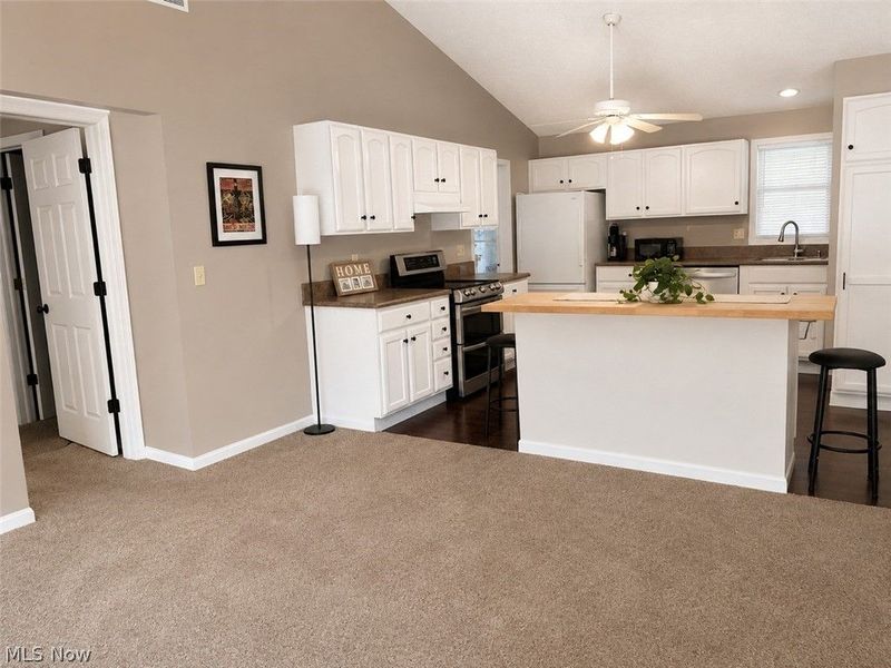 249 Forest Park Drive, Lagrange, OH 44050 Photo 7