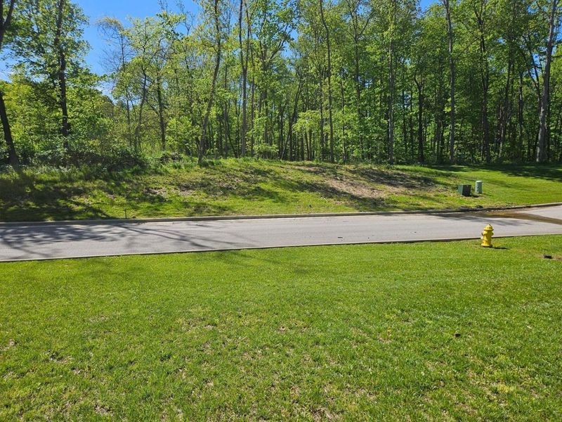 4360 Sunbury Road, Galena, OH 43021 Photo 3