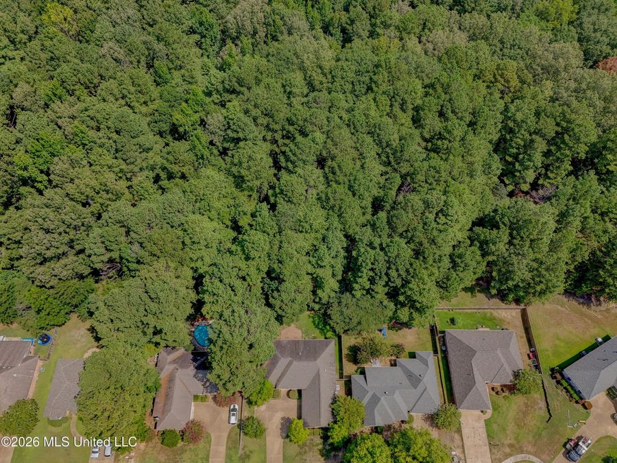 Property Image 61