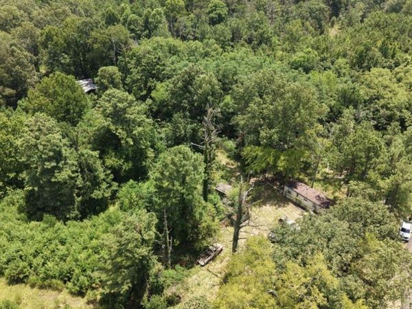 258 Pine Tree Lane, Ridgeland, MS 39157