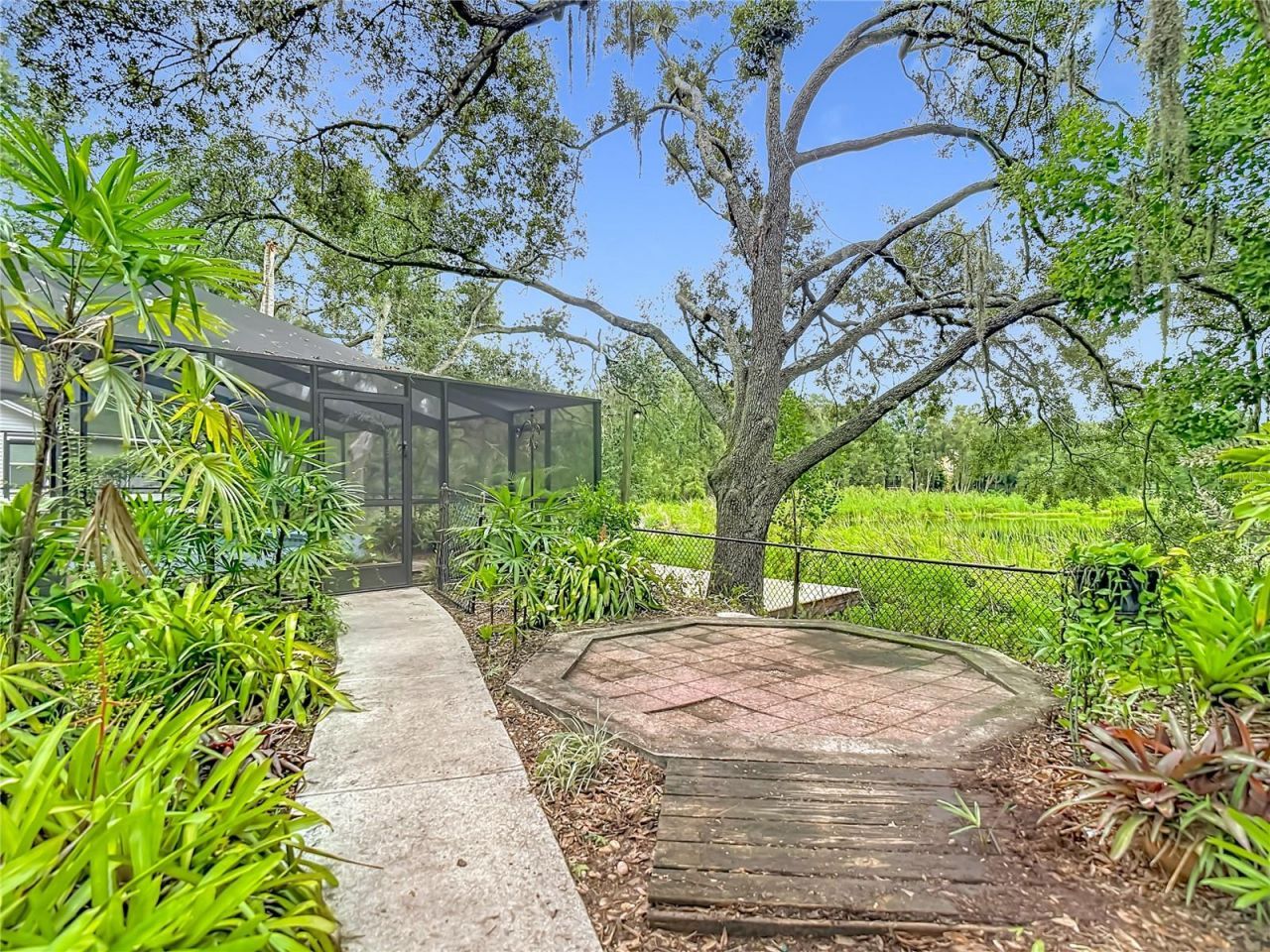 12721 N Armenia Avenue, Tampa, FL 33612 Photo