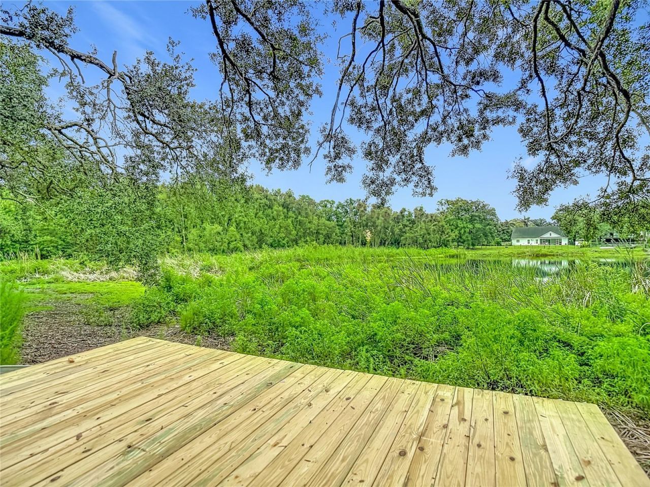 12721 N Armenia Avenue, Tampa, FL 33612 Photo