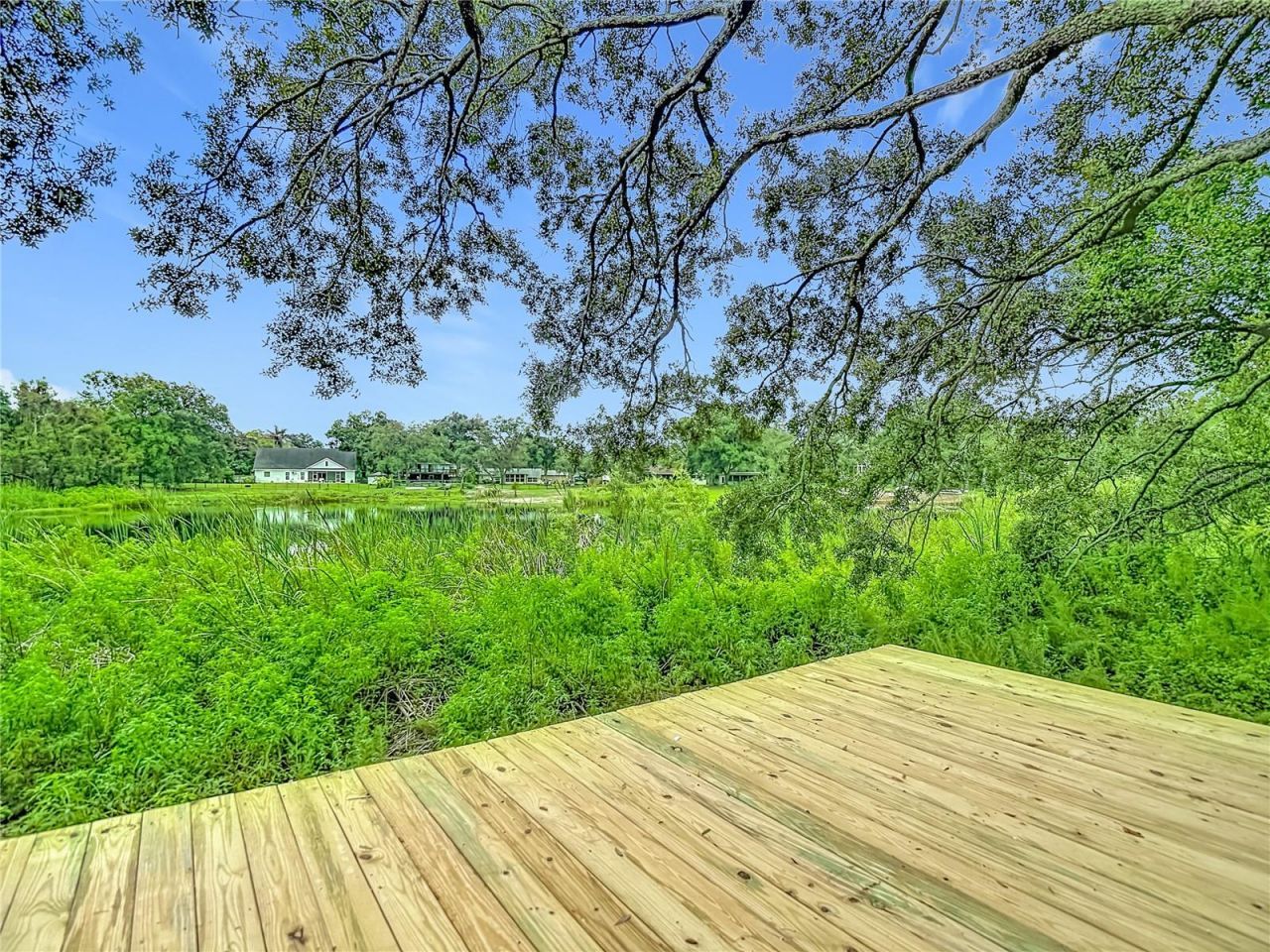 12721 N Armenia Avenue, Tampa, FL 33612 Photo