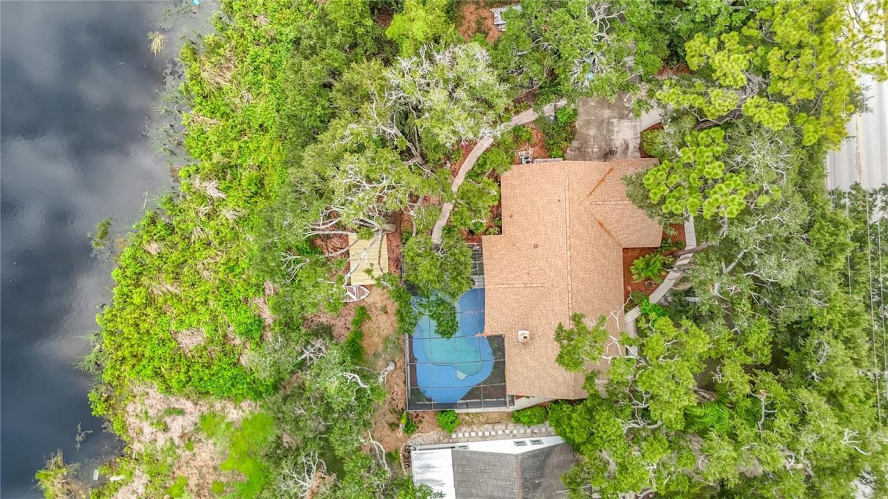 12721 N Armenia Avenue, Tampa, FL 33612 Photo