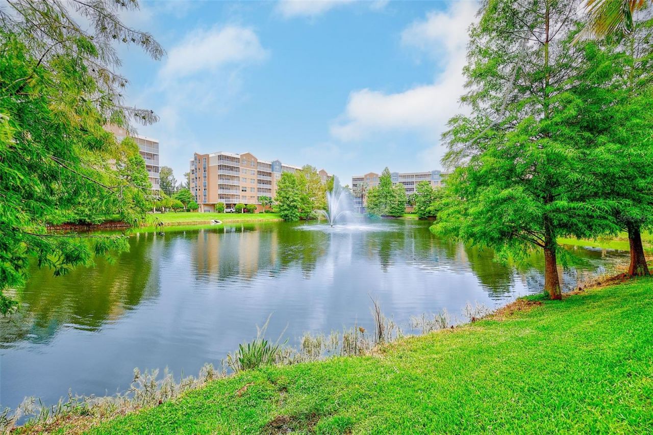 960 Starkey Road, Unit 6206, Largo, FL 33771 Photo