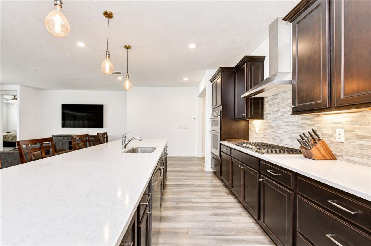 13857 Sharp Hawk Drive, Riverview, FL 33569 Photo