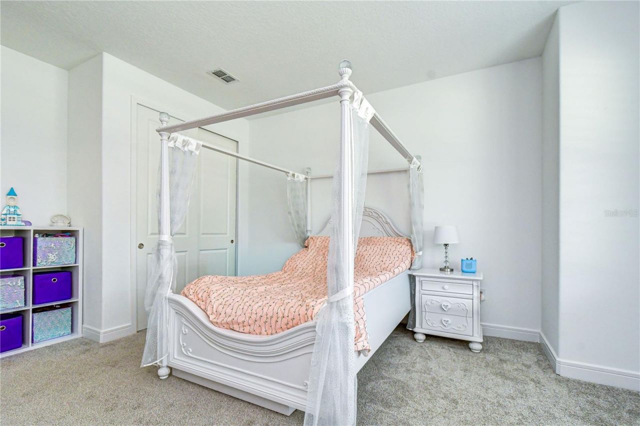 13857 Sharp Hawk Drive, Riverview, FL 33569 Photo