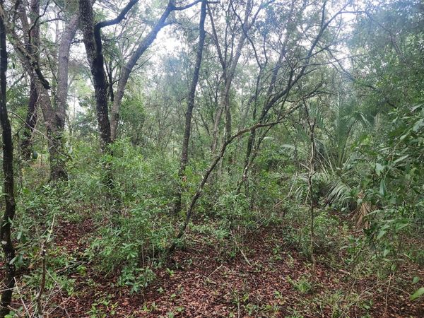 SW SANDS POINT AVENUE , DUNNELLON, FL 34432
