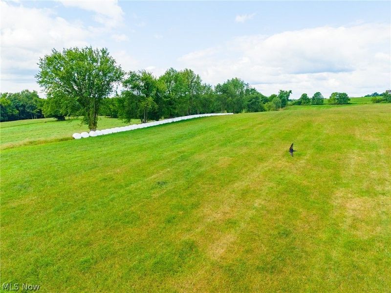 11000 County Road 6, Unit 1, Killbuck, OH 44637 Photo 24