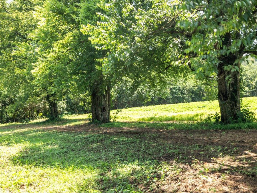 Property Image 27
