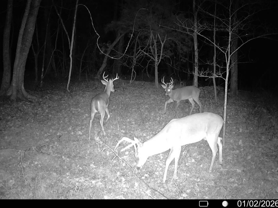 Property Image 67