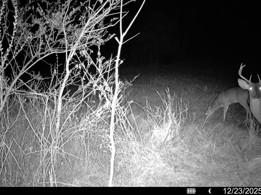 Property Image 72