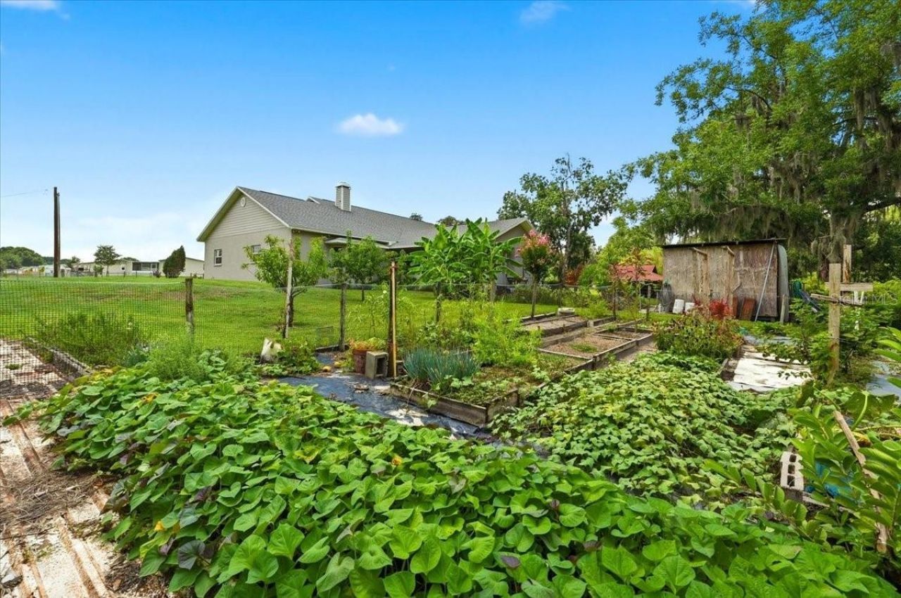8404 Mathews Road, Lakeland, FL 33809 Photo