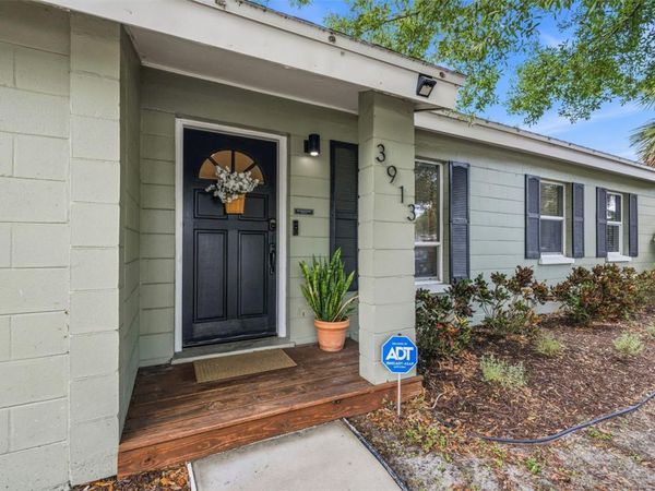 3913 W WALLACE AVENUE, TAMPA, FL 33611