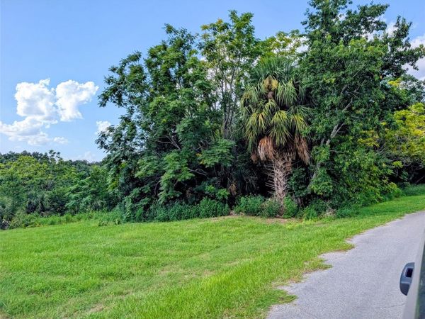 GREEN BRIAR DRIVE , LADY LAKE, FL 32159