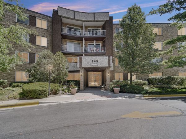 245 S Park Lane , Unit 419, Palatine, IL 60074