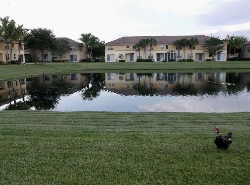 276 River Bluff Lane, Royal Palm Beach, FL 33411 Photo