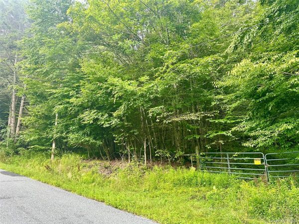 Dutch Hill Road W, Roscoe, NY 12776
