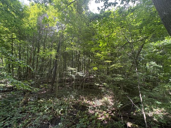 3645 Township Rd 161 , Marengo, OH 43334