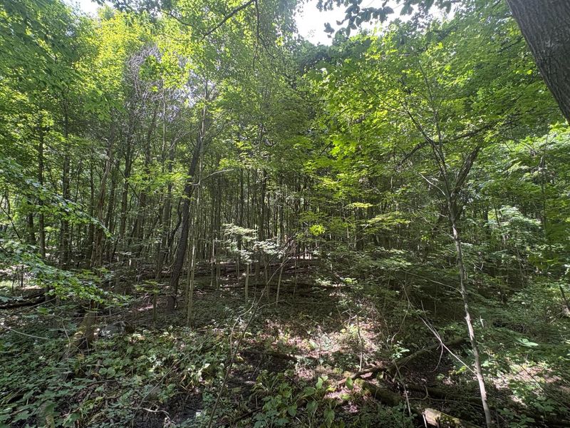 3645 Township Rd 161 , Marengo, OH 43334 Photo 1