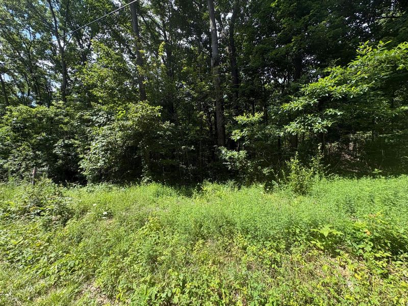 3645 Township Rd 161 , Marengo, OH 43334 Photo 3