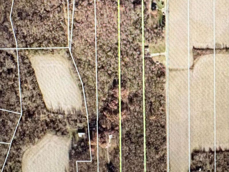 3645 Township Rd 161 , Marengo, OH 43334 Photo 5