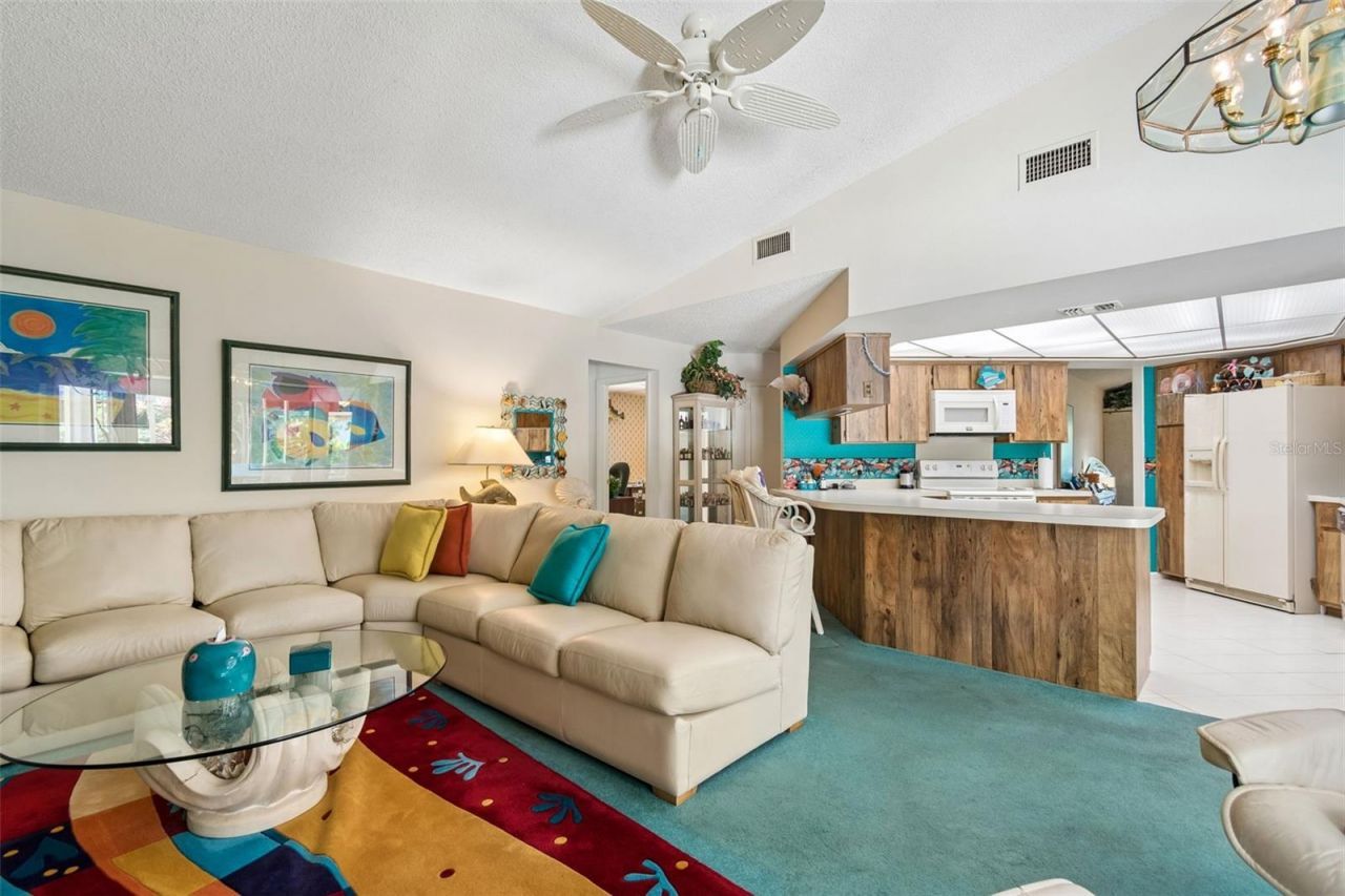 2364 Violet Pl, Palm Harbor, FL 34685 Photo