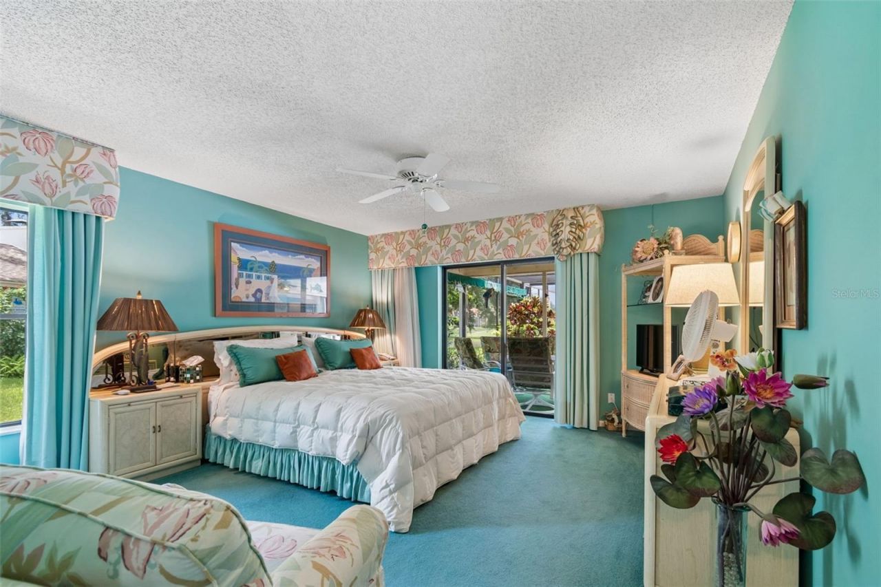 2364 Violet Pl, Palm Harbor, FL 34685 Photo