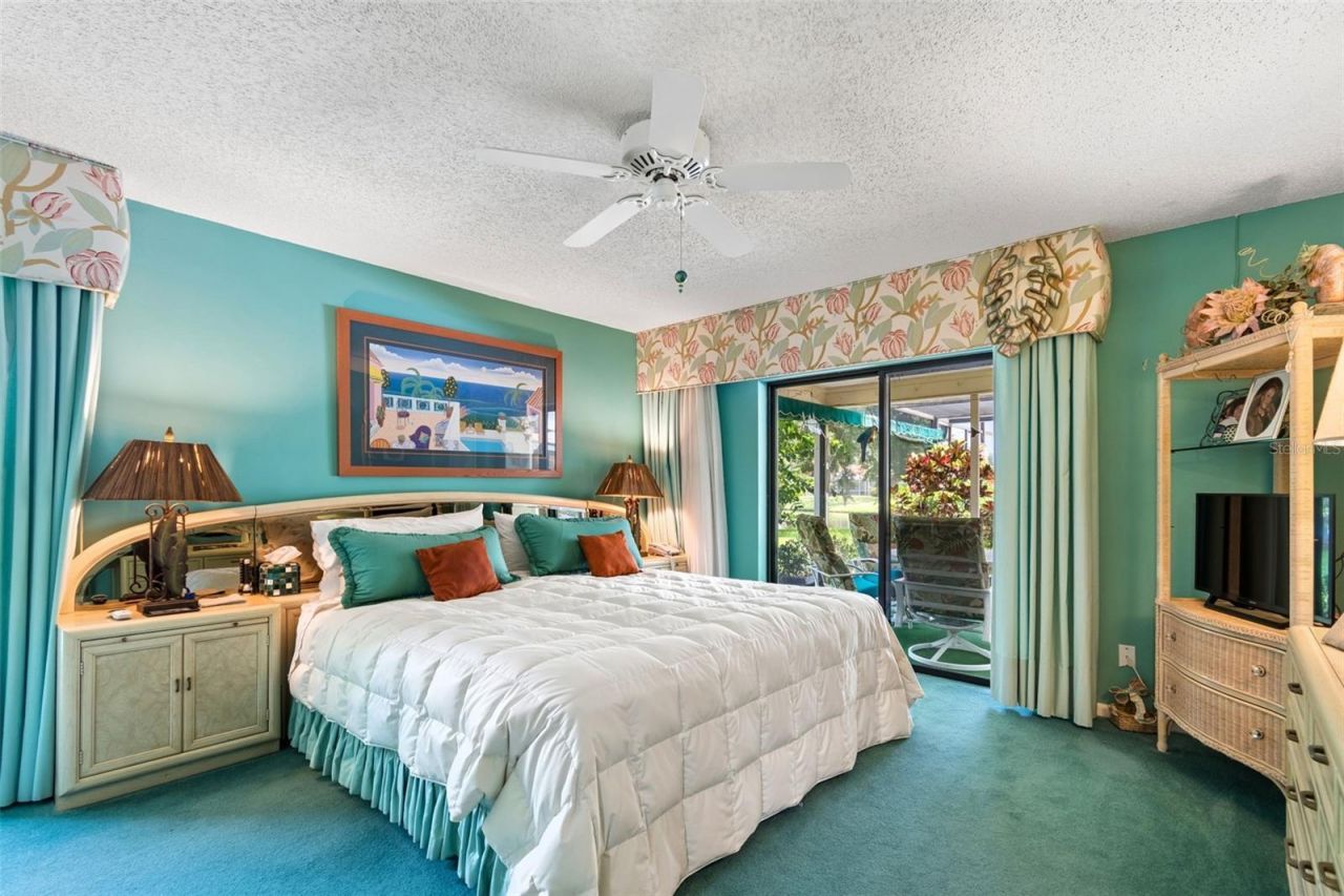 2364 Violet Pl, Palm Harbor, FL 34685 Photo