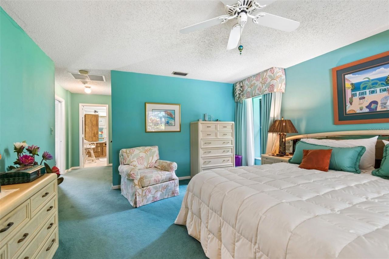2364 Violet Pl, Palm Harbor, FL 34685 Photo